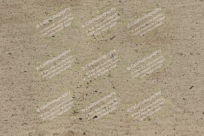 media/Oct-11-2025-Lucky Dog Racing (Sat) [[f5b53147c4]]/3-Second Stint/4-Turn 7 Inside/